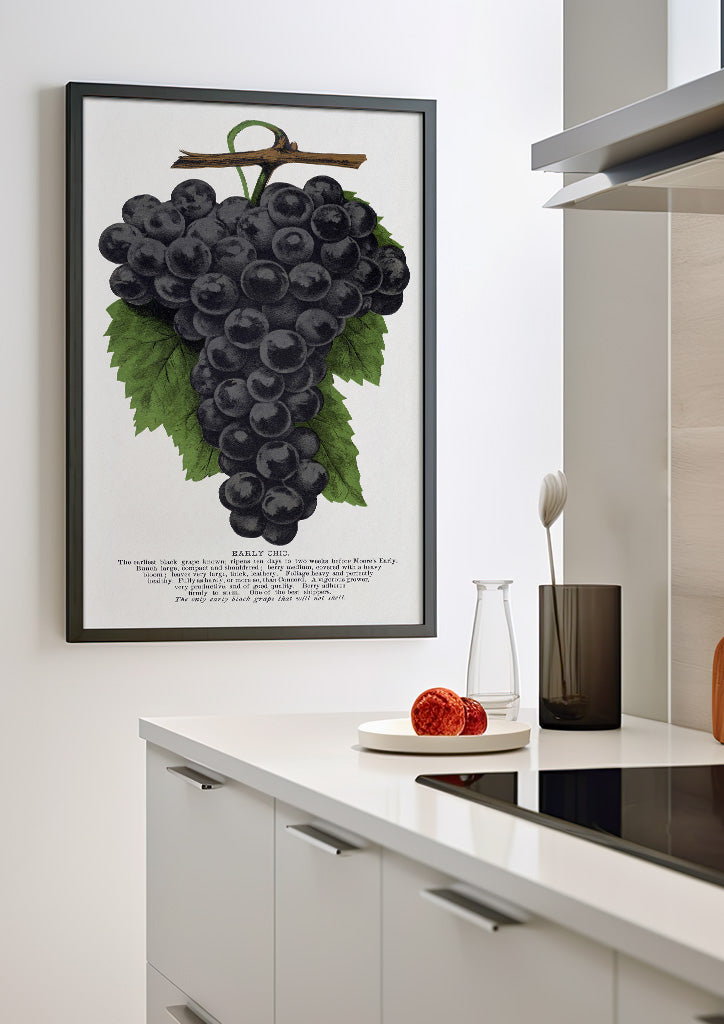 Grape Poster - Kitchen Wall Art