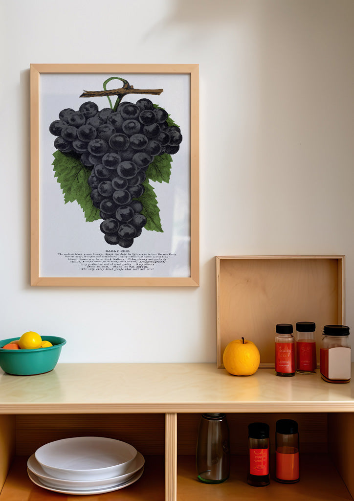 Grape Poster - Kitchen Wall Art