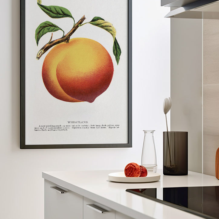 Peach Kitchen Poster