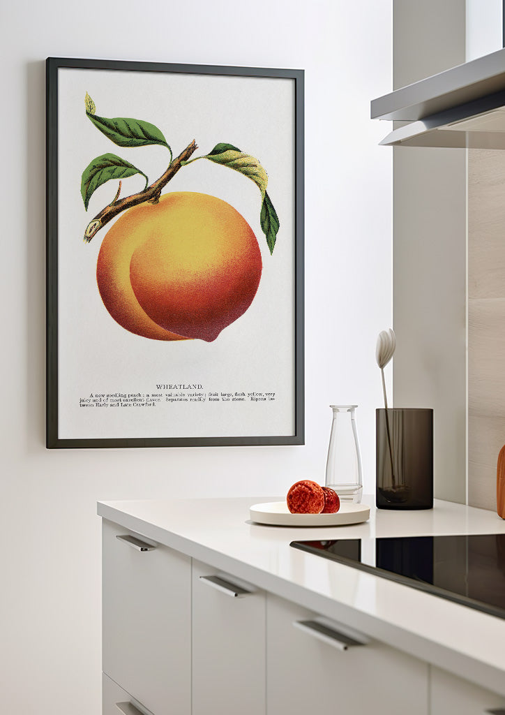 Peach Kitchen Poster