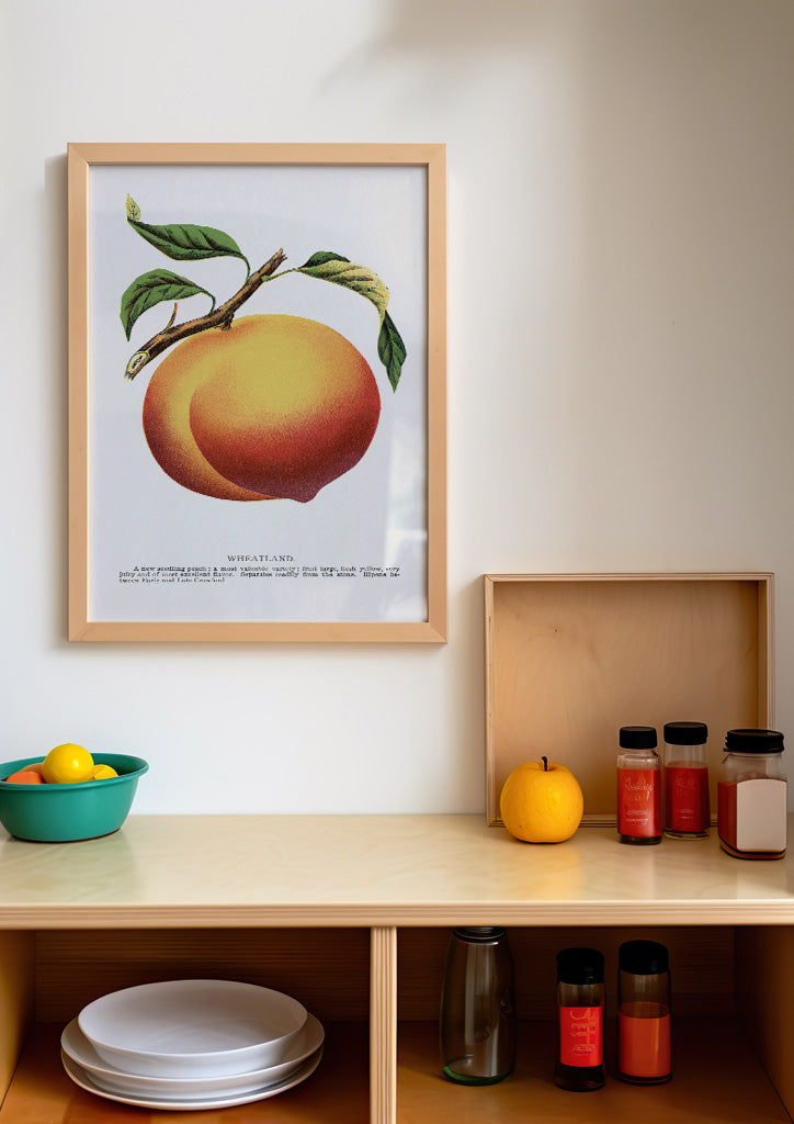 Peach Kitchen Poster