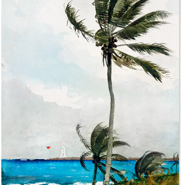 Winslow Homer Painting - Palm Tree, Nassau