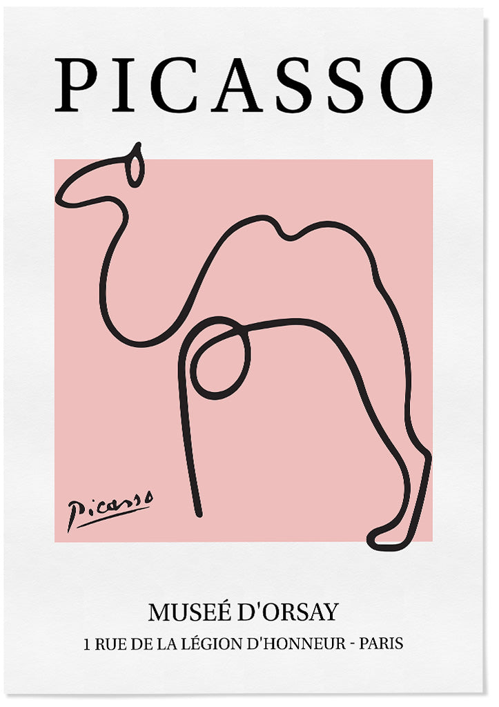 Pablo Picasso Line Drawing - Camel